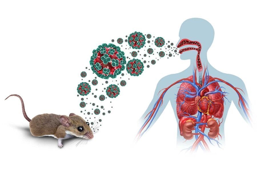 El crucero con hantavirus llega a España: todo lo que debes saber